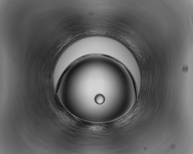 X0000100340168200806121159