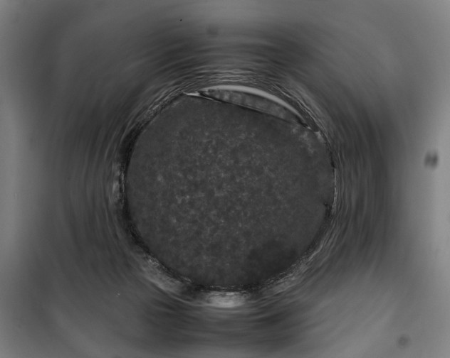 X0000100340169200806121159