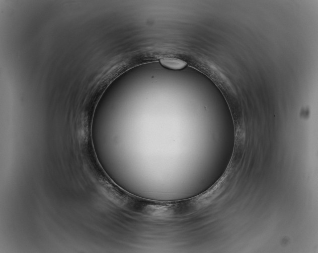 X0000100340170200806121159