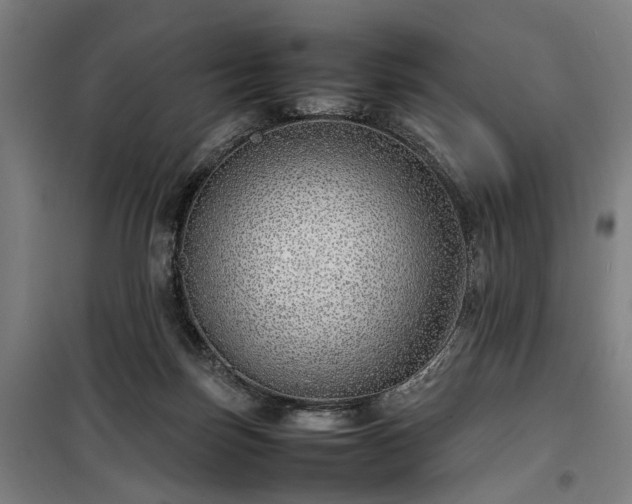 X0000100340171200806121159