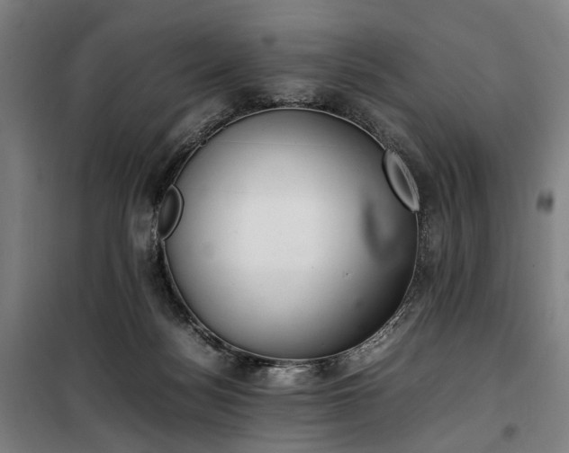 X0000100340172200806121159