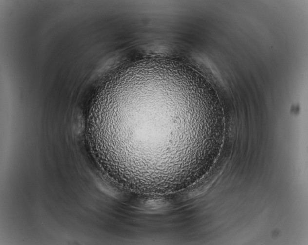 X0000100340173200806121159