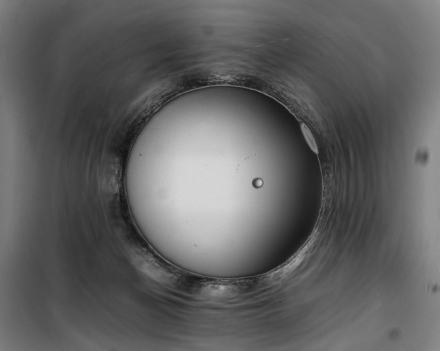 X0000100340174200806121159