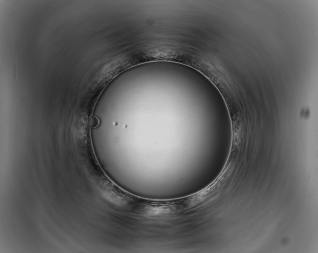 X0000100340175200806121159