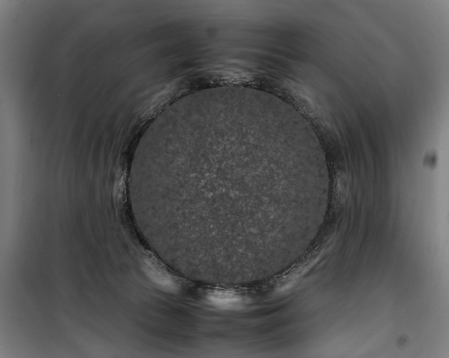 X0000100340177200806121159