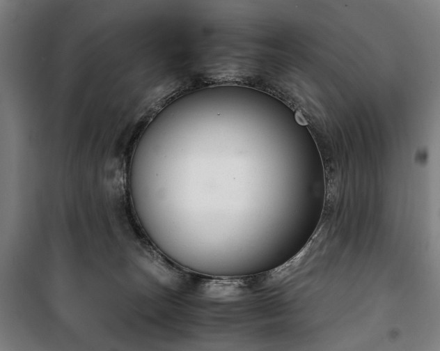 X0000100340179200806121159