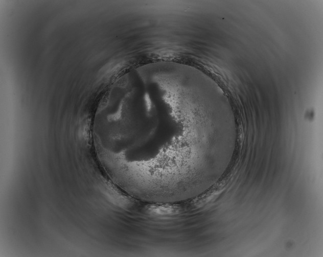 X0000100340181200806121159