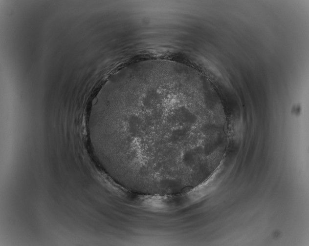 X0000100340182200806121159