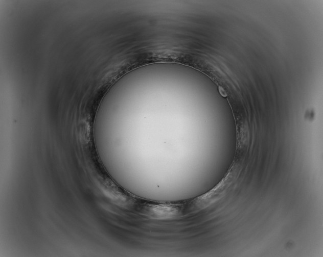 X0000100340183200806121159