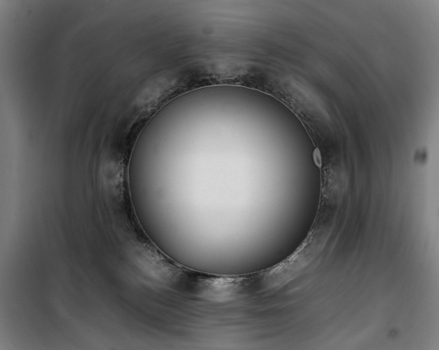 X0000100340184200806121159