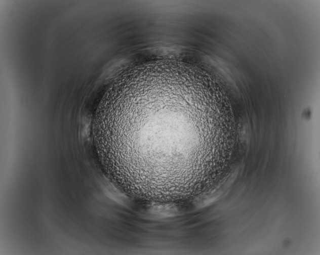 X0000100340185200806121159