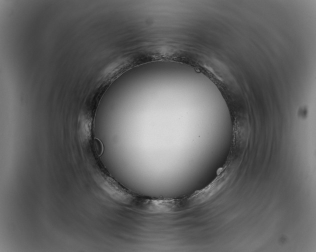 X0000100340188200806121159