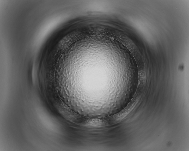 X0000100340189200806121159