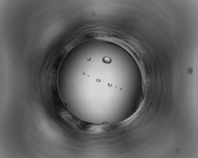 X0000100340190200806121159