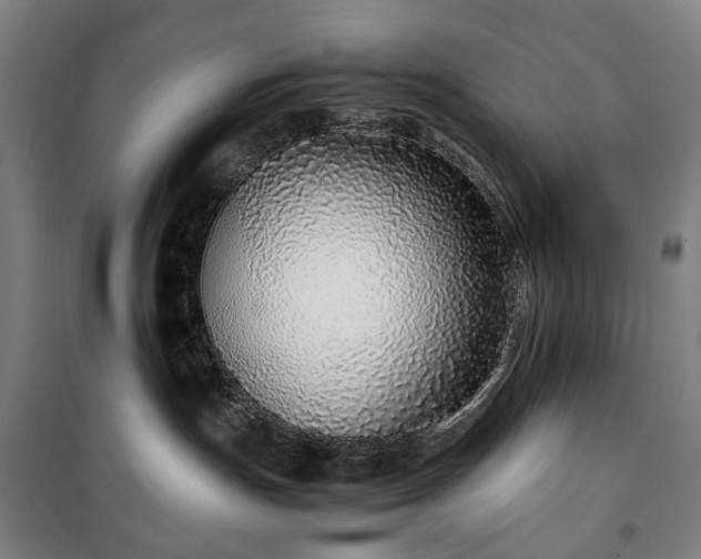 X0000100340191200806121159