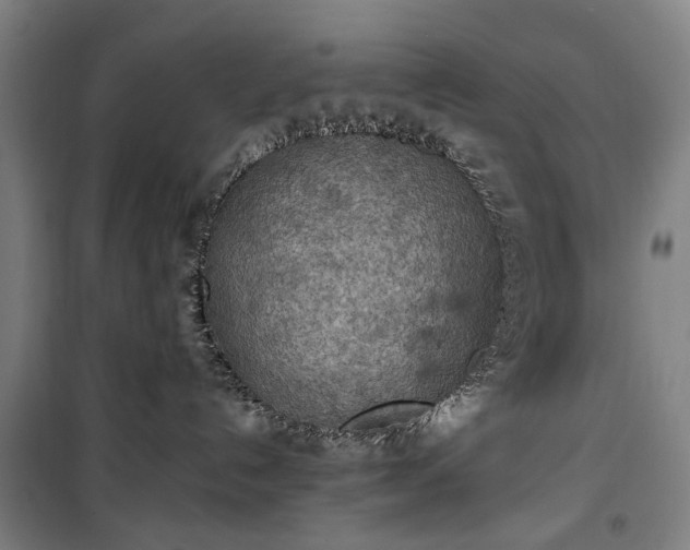 X0000100340192200806121159