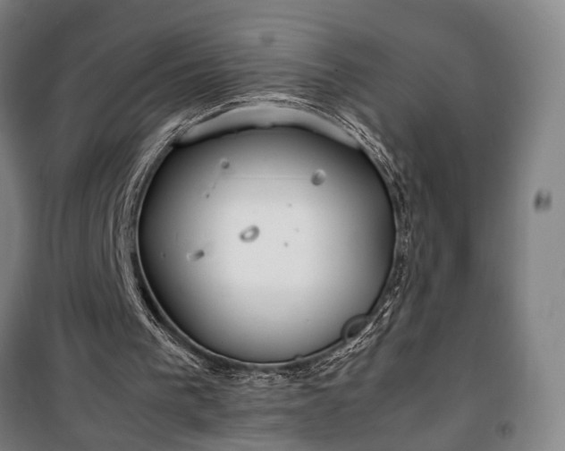 X0000100340193200806121159