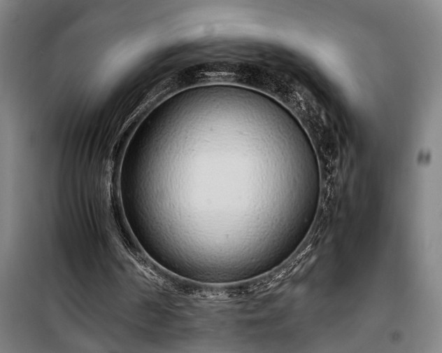 X0000100340194200806121159