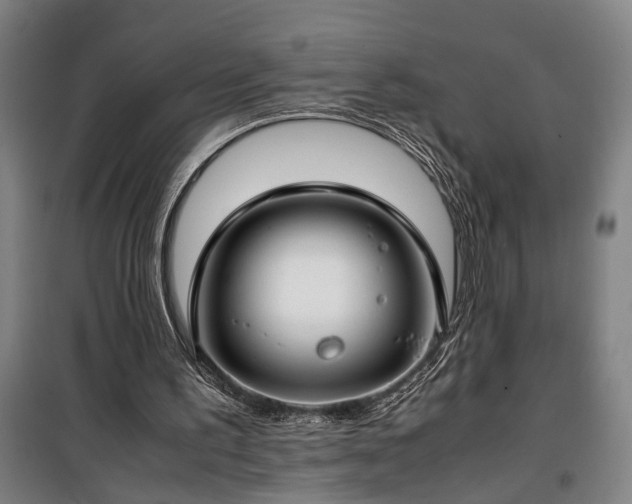 X0000100340195200806121159