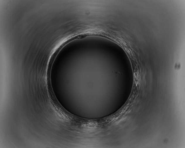 X0000100340196200806121159