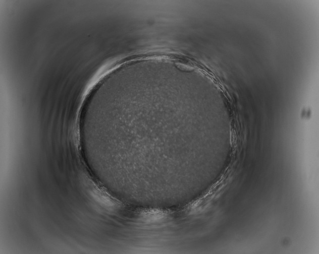 X0000100340198200806121159