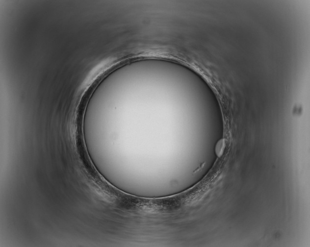 X0000100340199200806121158