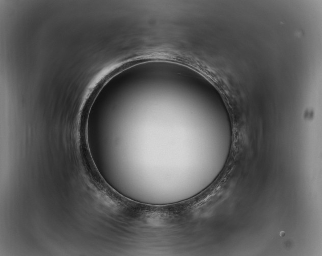 X0000100340200200806121158