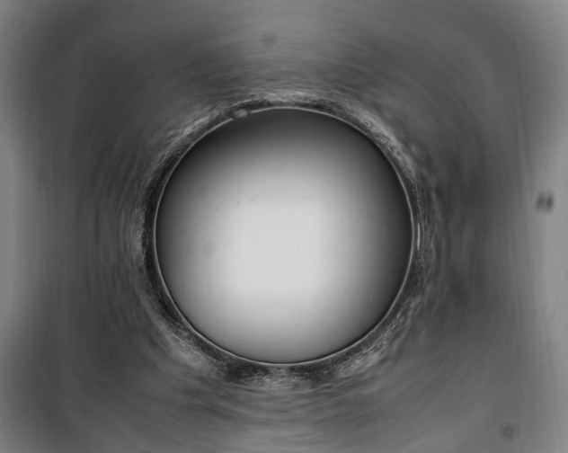 X0000100340201200806121158