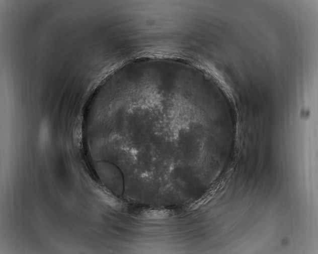 X0000100340202200806121158