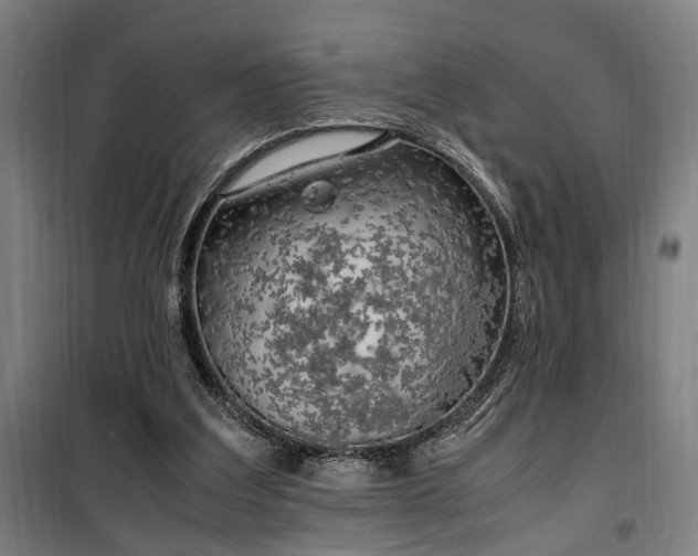 X0000100340203200806121158