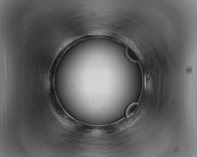 X0000100340204200806121158