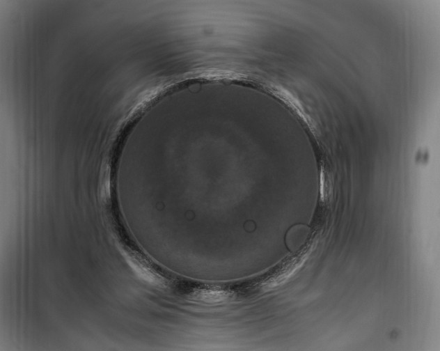 X0000100340205200806121158