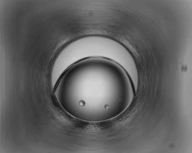 X0000100340207200806121158