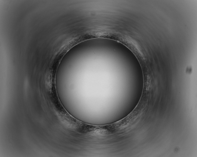 X0000100340210200806121158