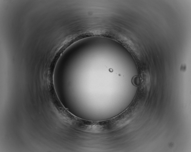 X0000100340212200806121158