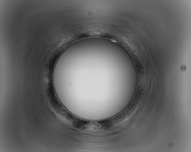 X0000100340215200806121158