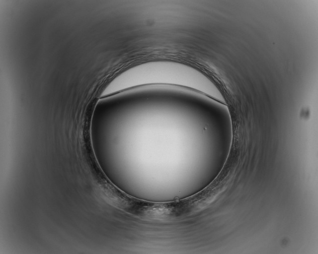 X0000100340217200806121158