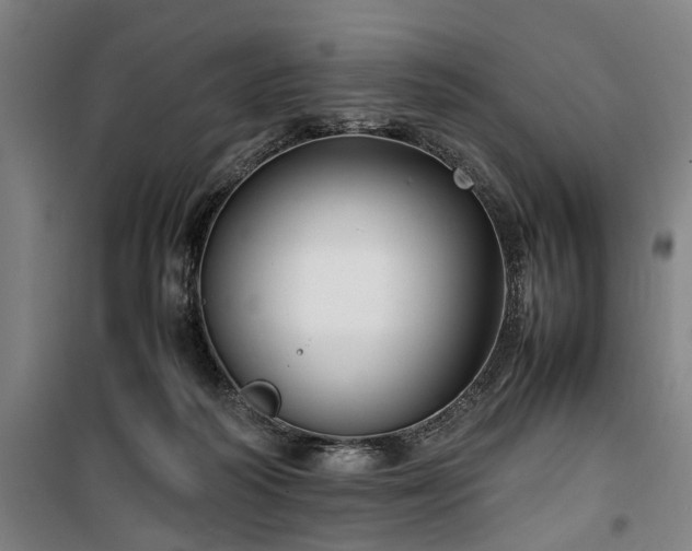 X0000100340218200806121158