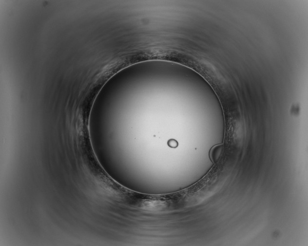 X0000100340220200806121158