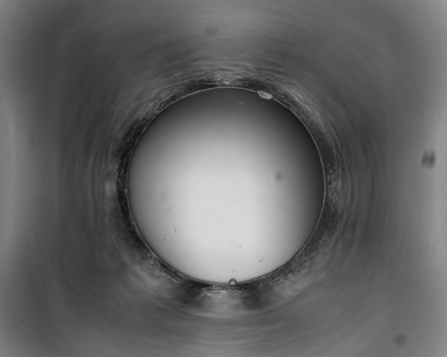 X0000100340221200806121158