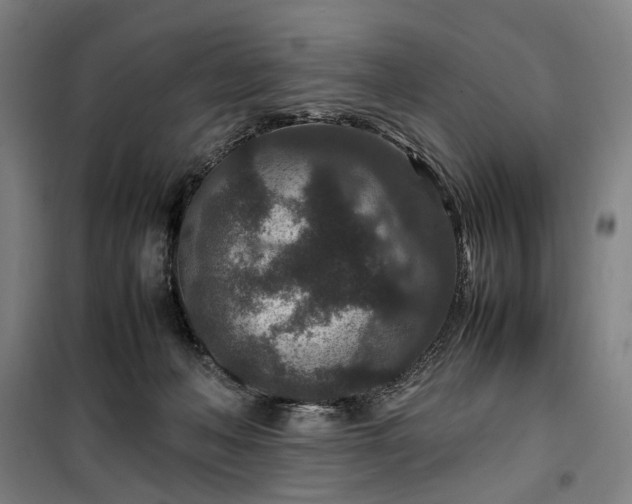 X0000100340222200806121158