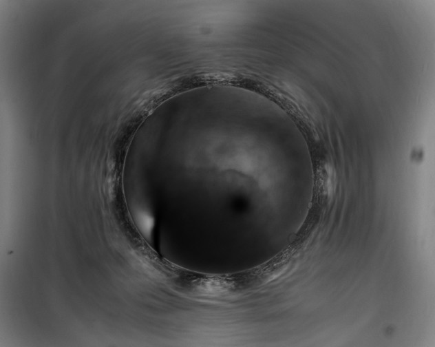 X0000100340223200806121158