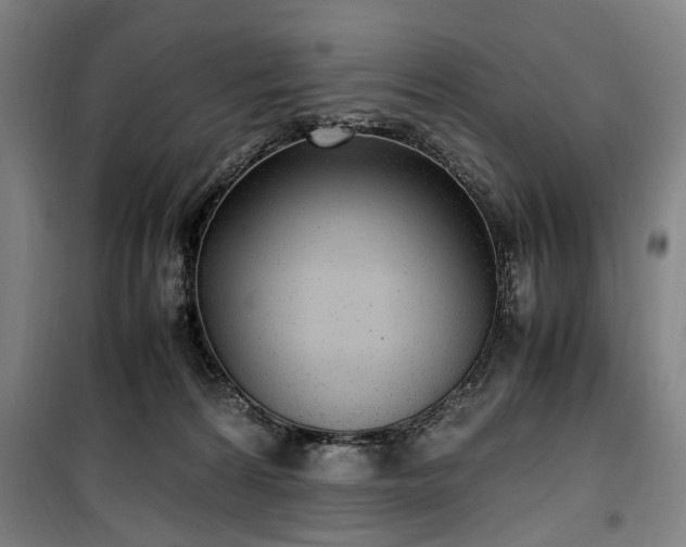 X0000100340224200806121158