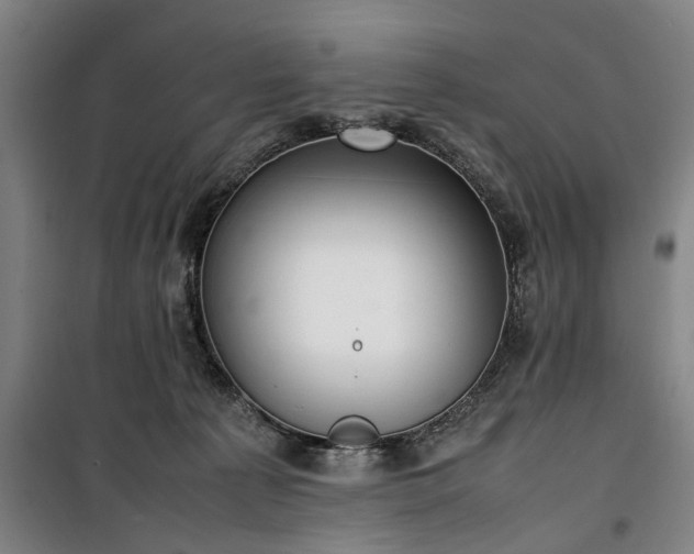 X0000100340225200806121158