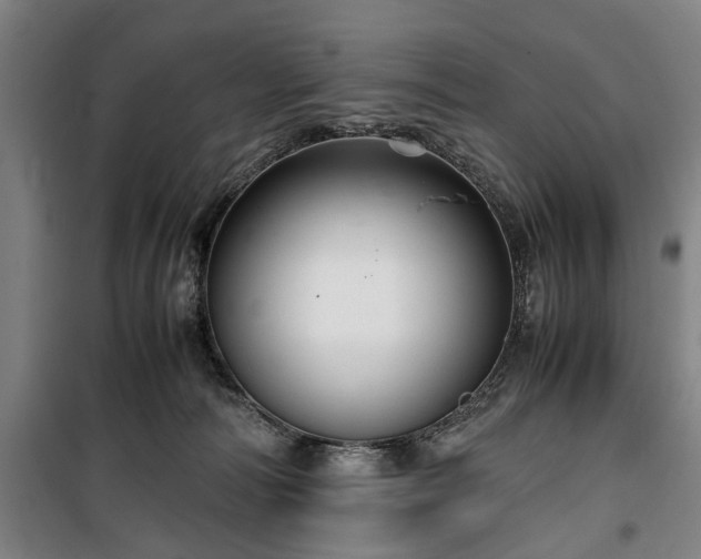 X0000100340226200806121158