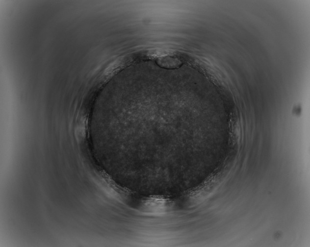 X0000100340227200806121158