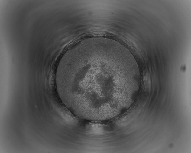 X0000100340228200806121158