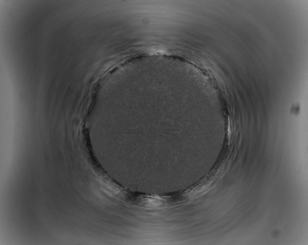 X0000100340229200806121158