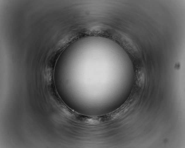 X0000100340232200806121158