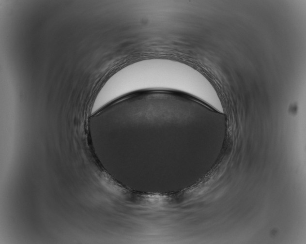 X0000100340233200806121158